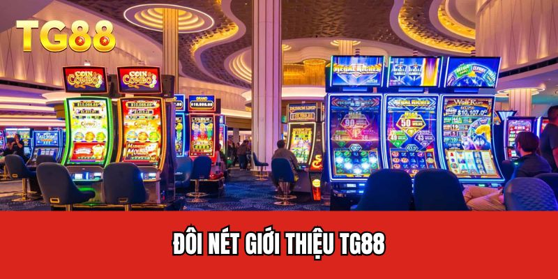 Đôi nét giới thiệu TG88