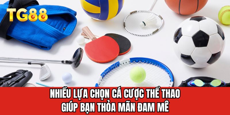 Nhiều lựa chọn cá cược thể thao giúp bạn thỏa mãn đam mê